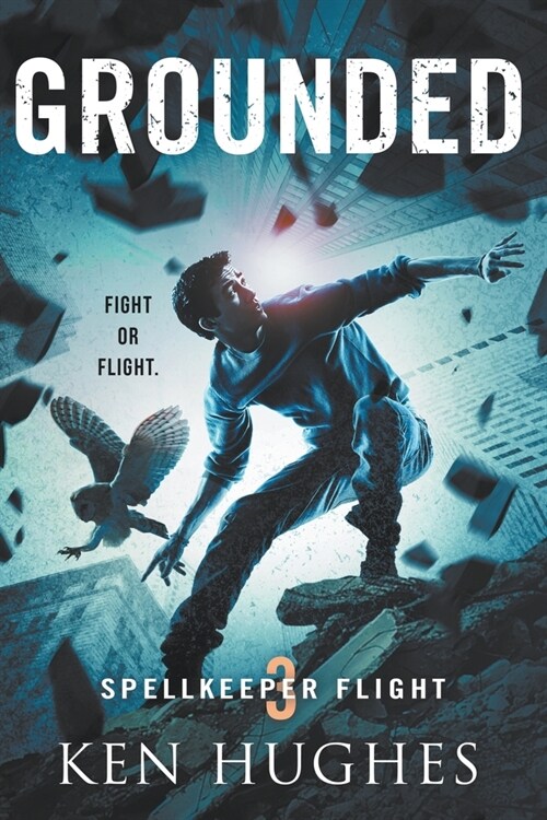 Grounded (Paperback)