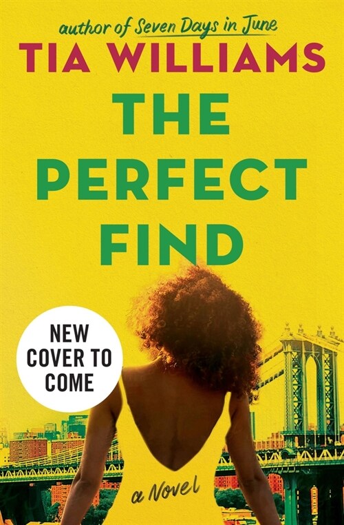 The Perfect Find (Paperback)