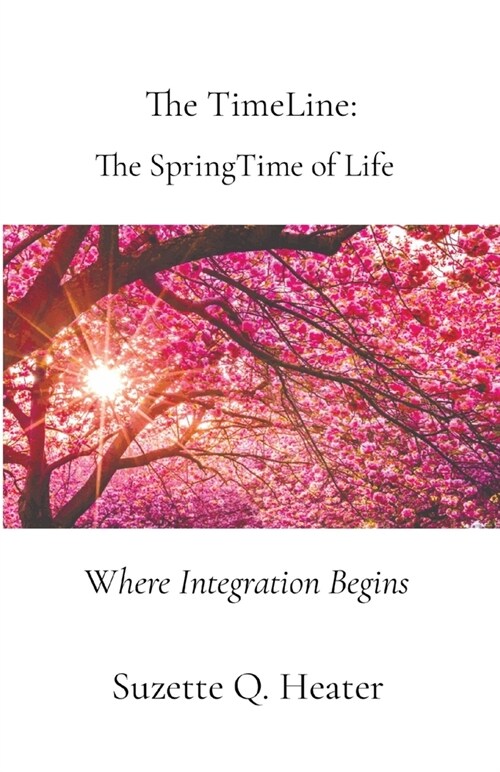 The TimeLine: Where Integration Begins (Paperback)