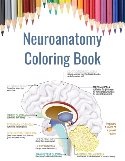 Neuroanatomy Coloring Book: Brain Coloring Book for Neuroscience (Paperback)