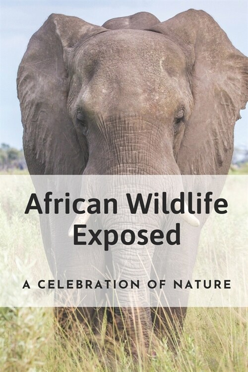 African Wildlife Exposed: A Celebration Of Nature: The Wilds Of Africa Story (Paperback)