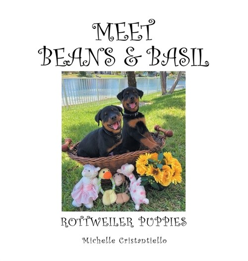 Meet Beans and Basil: Rottweiler Puppies (Hardcover)