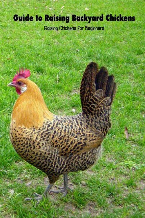 Guide to Raising Backyard Chickens: Raising Chickens for Beginners: Chickens Raising Guide for Beginners (Paperback)