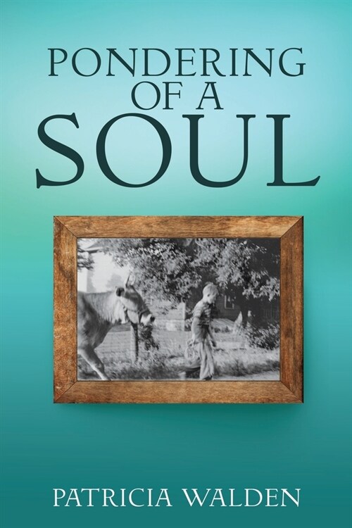 Pondering of a Soul (Paperback)