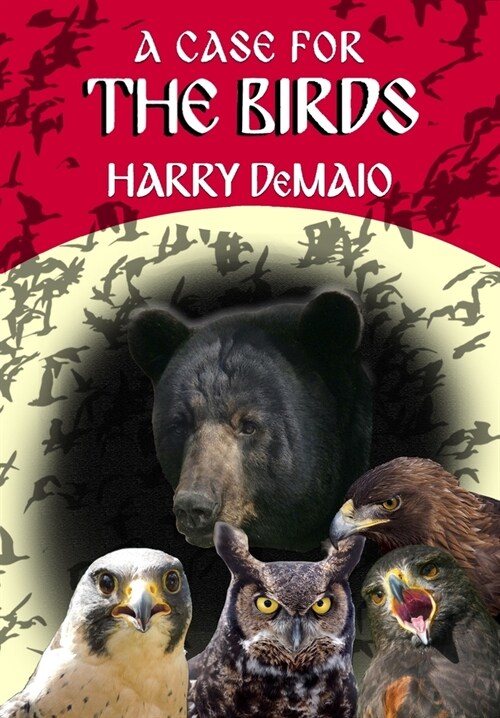 A Case For The Birds (Octavius Bear 15) (Paperback)