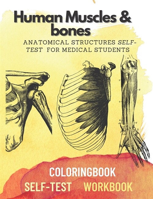 Human muscles & bones: Anatomical structures self-test for medical students (Paperback)