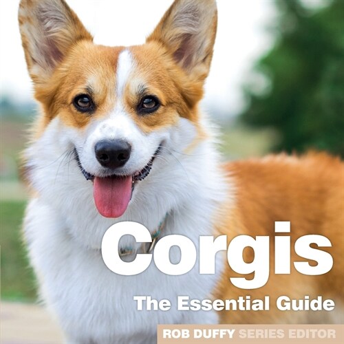 Corgis : The Essential Guide (Paperback)