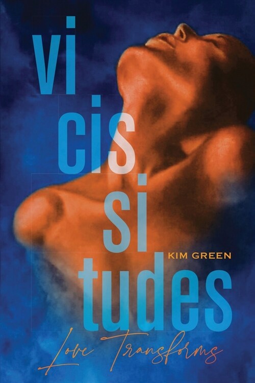 Vicissitudes (Paperback)