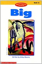Big (Paperback)
