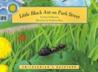 Little black ant on park street