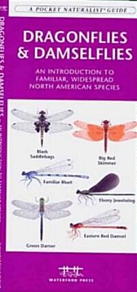 Dragonflies & Damselflies: A Folding Pocket Guide to Familiar Widespread, North American Species (Other)