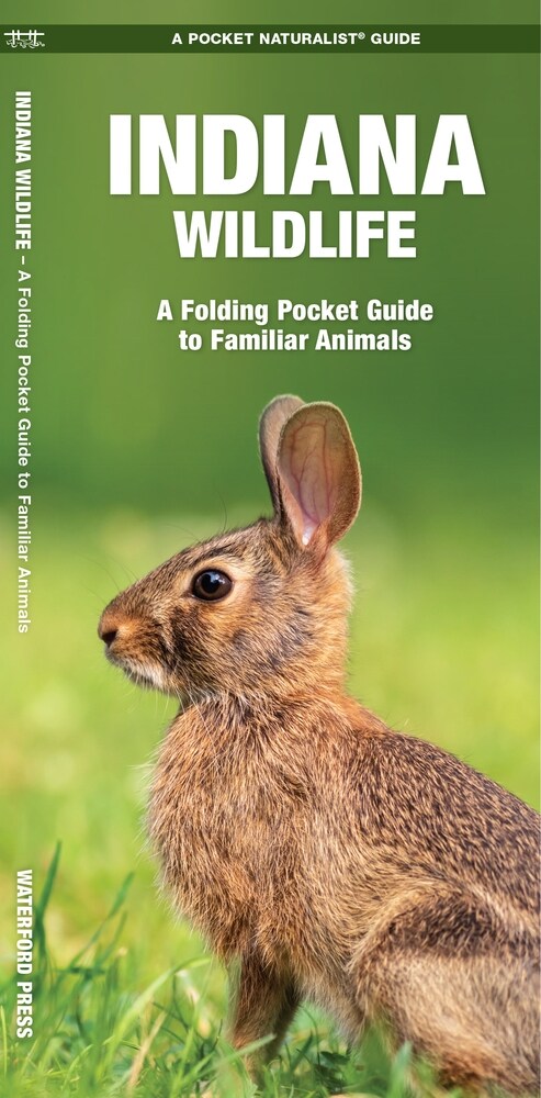 Indiana Wildlife: A Folding Pocket Guide to Familiar Animals (Hardcover)