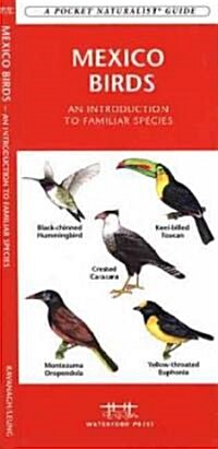 Mexico Birds: A Folding Pocket Guide to Familiar Species (Other)