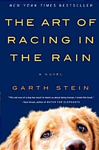 [중고] The Art of Racing in the Rain (Paperback)