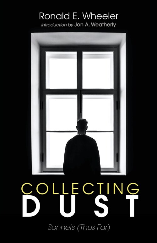 Collecting Dust (Paperback)