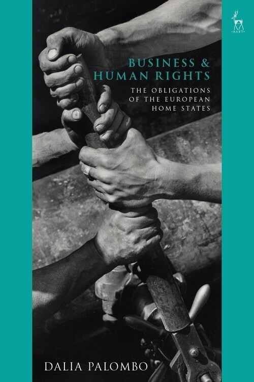 Business and Human Rights : The Obligations of the European Home States (Paperback)