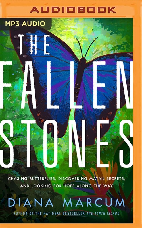 The Fallen Stones: Chasing Butterflies, Discovering Mayan Secrets, and Looking for Hope Along the Way (MP3 CD)