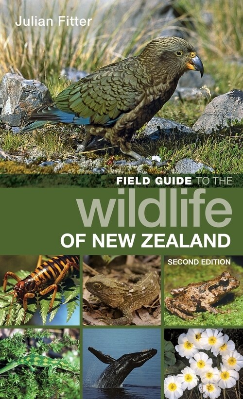 Field Guide to the Wildlife of New Zealand (Paperback)