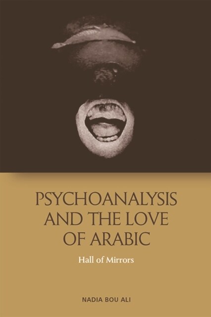 Psychoanalysis and the Love of Arabic : Hall of Mirrors (Paperback)