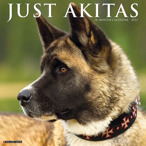 Just Akitas 2022 Wall Calendar (Dog Breed) (Calendar)