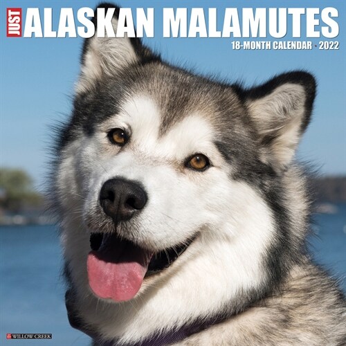 Just Alaskan Malamutes 2022 Wall Calendar (Dog Breed) (Calendar)