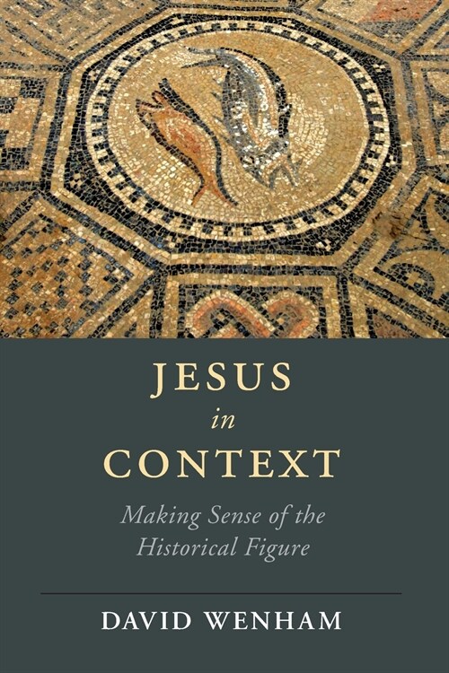 Jesus in Context : Making Sense of the Historical Figure (Paperback)