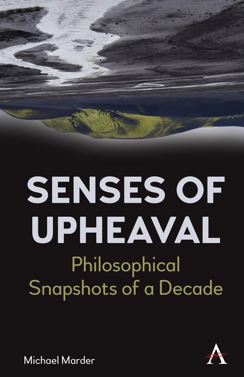 Senses of Upheaval : Philosophical Snapshots of a Decade (Hardcover)