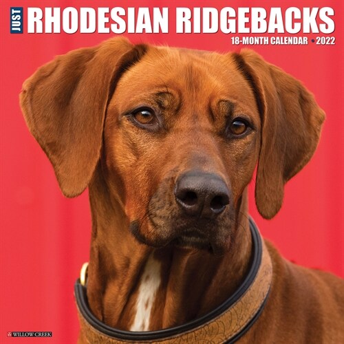 Just Rhodesian Ridgebacks 2022 Wall Calendar (Dog Breed) (Calendar)