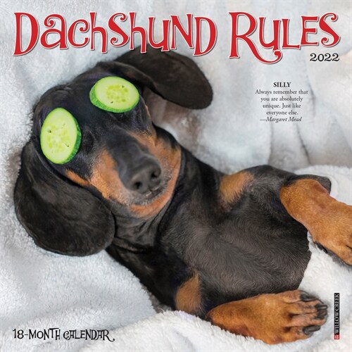 Dachshund Rules 2022 Mini Wall Calendar (Dog Breed) (Calendar)