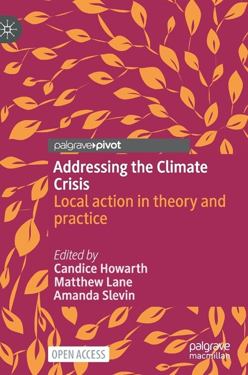 Addressing the Climate Crisis: Local Action in Theory and Practice (Hardcover, 2021)