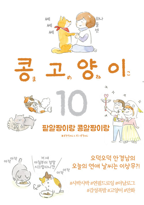 콩고양이 10