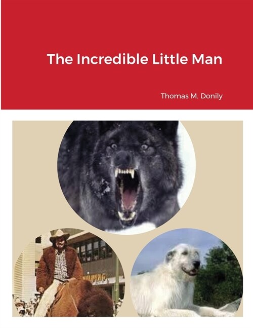 The Incredible Little Man (Paperback)