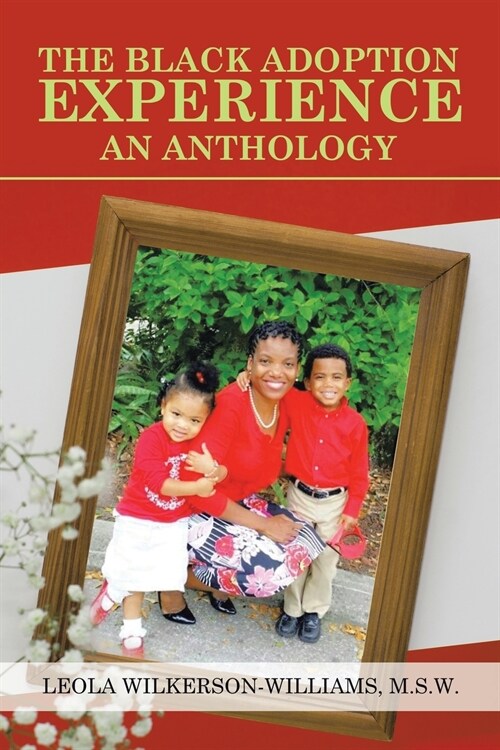 The Black Adoption Experience an Anthology (Paperback)