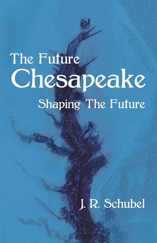 The Future Chesapeake: Shaping the Future (Paperback)