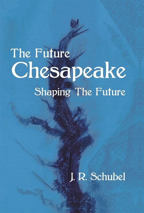 The Future Chesapeake: Shaping the Future (Hardcover)