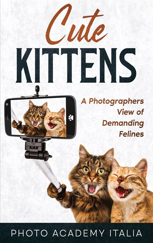 Cute Kittens: A Photographers View of Demanding Felines (Hardcover)