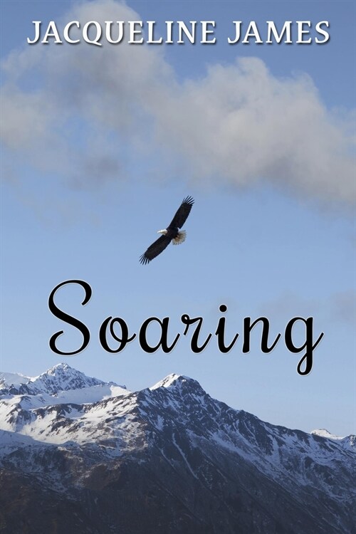 Soaring (Paperback)