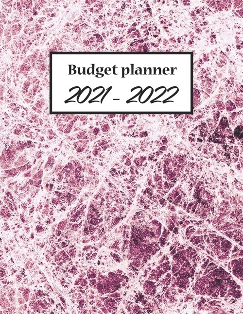 Budget Planner 2021-2022: Monthly Financial Planner and Bill Organizer, Smart Planner With Marble Cover For Men, Women, 8.5 x 11 120 Pages (Paperback)