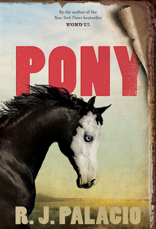 Pony (Hardcover)