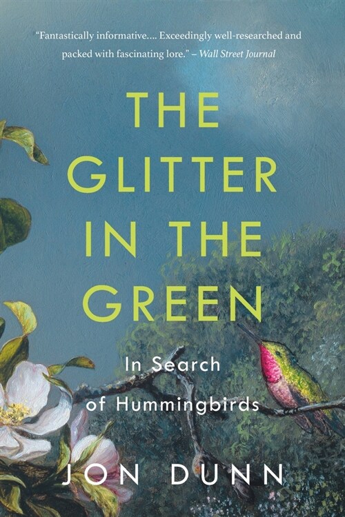 The Glitter in the Green: In Search of Hummingbirds (Paperback)