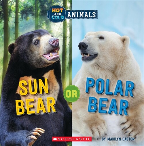 [중고] Sun Bear or Polar Bear (Wild World: Hot and Cold Animals) (Paperback)