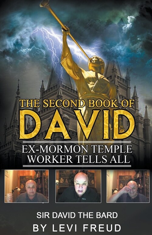 The Second Book Of David (Paperback)