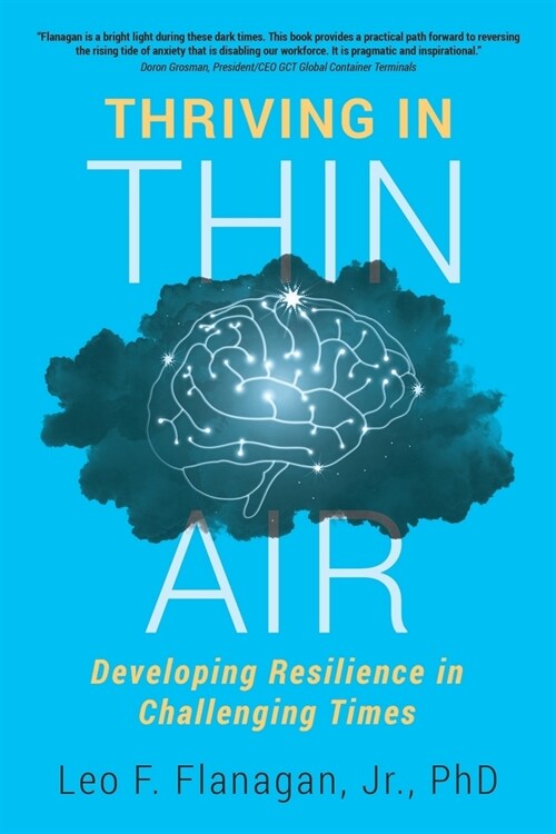 Thriving In Thin Air: Developing Resilience In Challenging Times (Paperback)