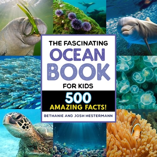 The Fascinating Ocean Book for Kids: 500 Incredible Facts! (Paperback)