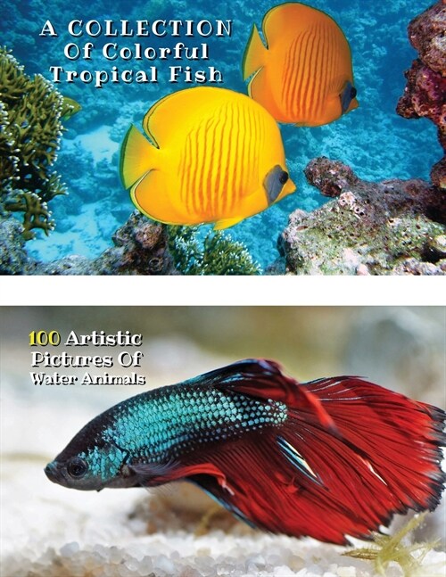 A Collection of Colorful Tropical Fish - 100 Artistic Pictures of Water Animals - Full Color HD: Professional Photo Album - The Best Animal Pictures A (Paperback)