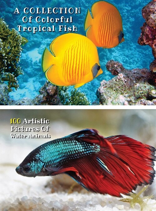 A Collection of Colorful Tropical Fish - 100 Artistic Pictures of Water Animals - Full Color HD: Professional Photo Album - The Best Animal Pictures A (Hardcover)