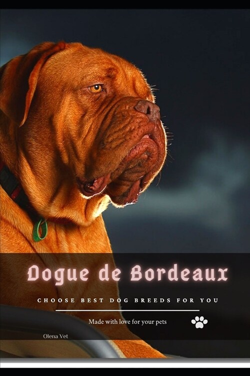 Dogue de Bordeaux: Choose best dog breeds for you (Paperback)