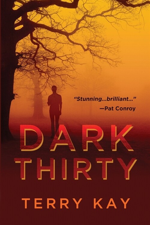 Dark Thirty (Paperback)