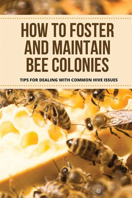 How To Foster And Maintain Bee Colonies: Tips For Dealing With Common Hive Issues: Beekeeping Business (Paperback)