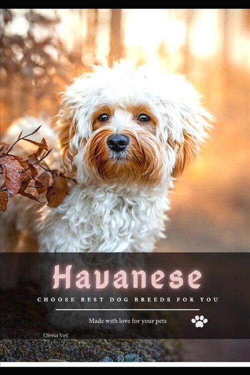 Havanese: Choose best dog breeds for you (Paperback)